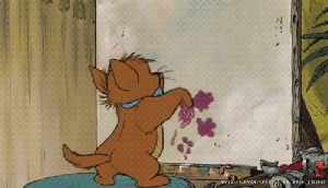 50b77085-a5bd-4748-9f78-3ac94ae5e567