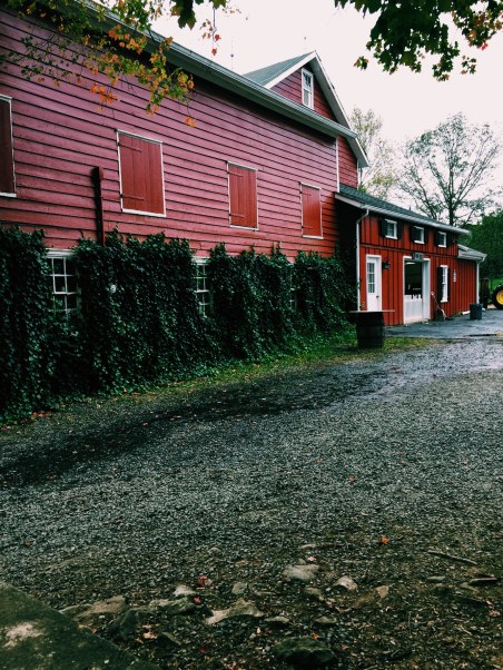 Processed with VSCO with c1 preset