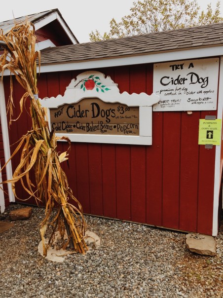 Processed with VSCO with m5 preset