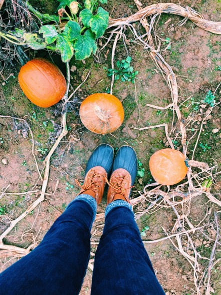 Processed with VSCO with c1 preset